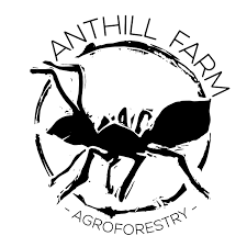 Anthill Farm