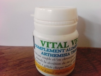 Artémisia Gélule